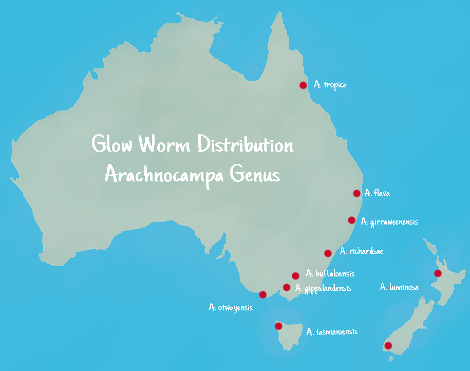Location map of glow worm colonies